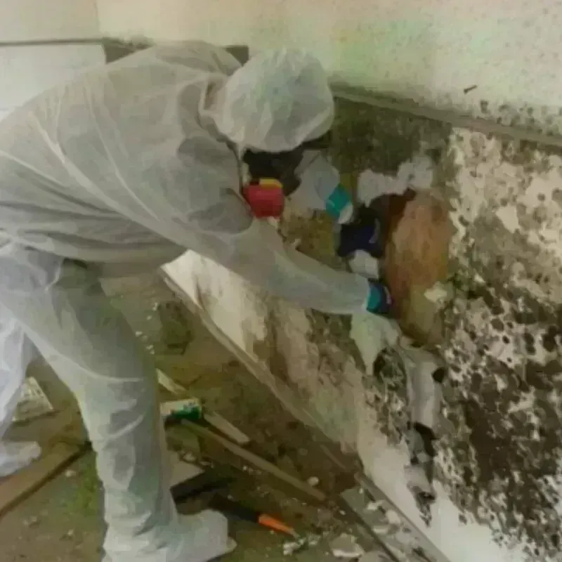 Best Mold Remediation and Removal Service in Fritz Creek, AK