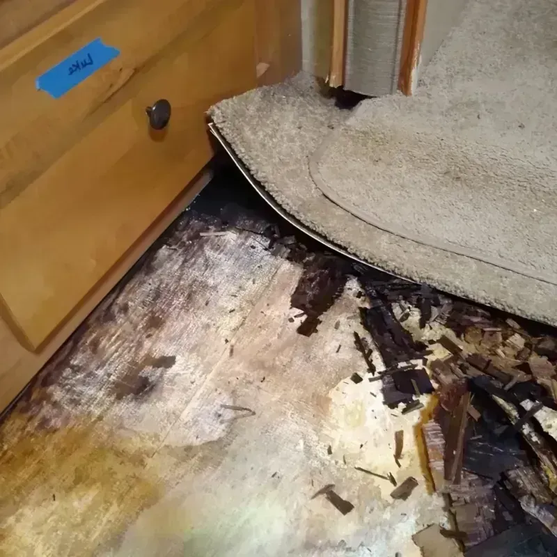 Wood Floor Water Damage in Fritz Creek, AK